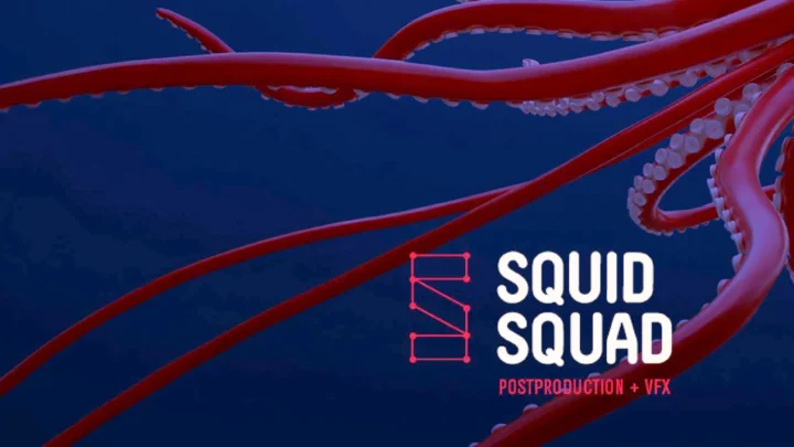 Image de Squid Squad (décoratif)