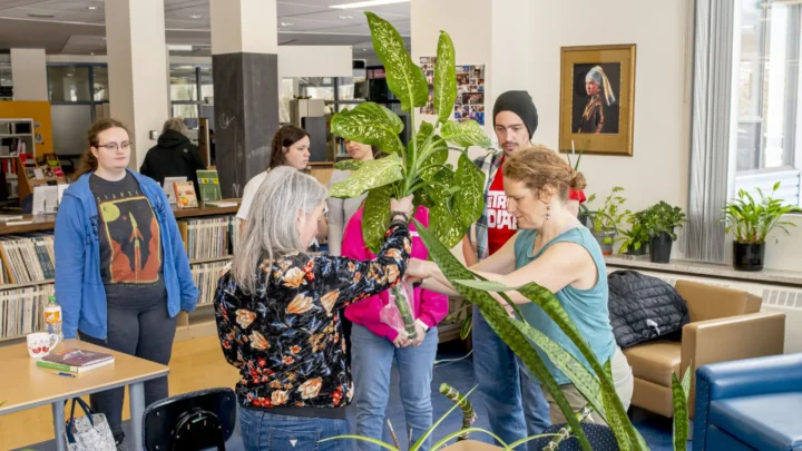 Des membres de la communauté collégiale lors de l'anniversaire de la grainothèque